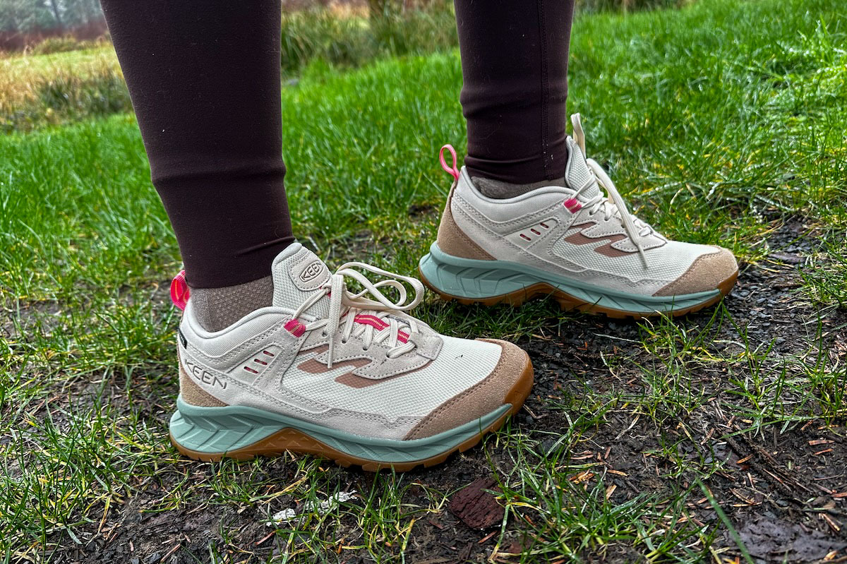 A pair of leather hiking shoes