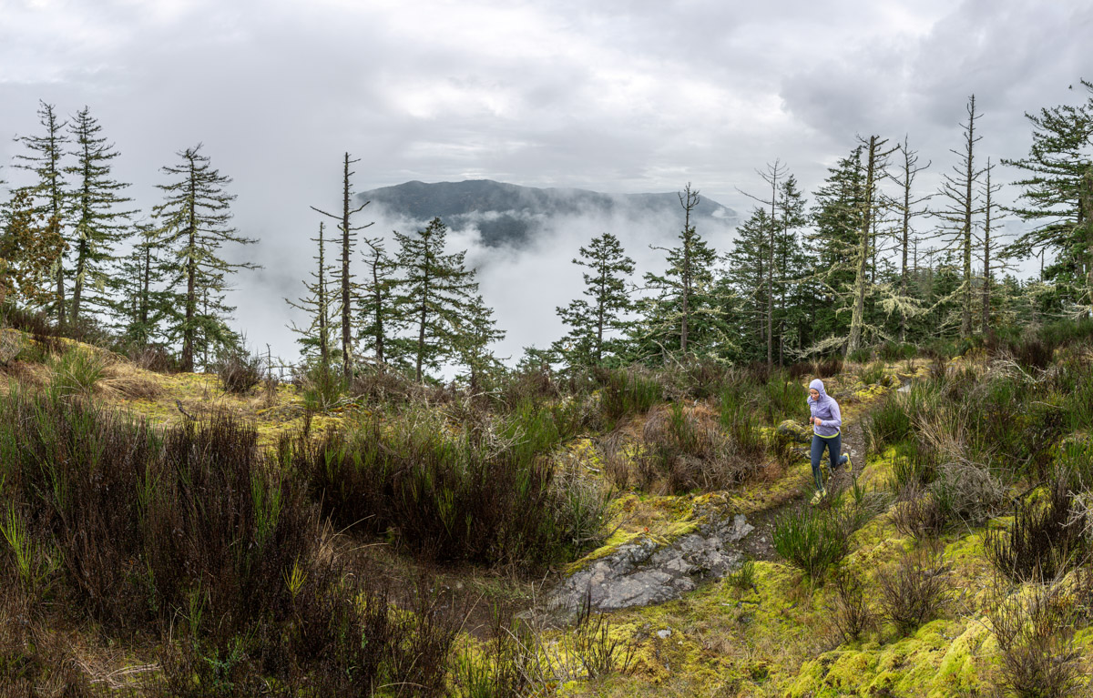 A runner makes way through a mountain field on a cloudy day.