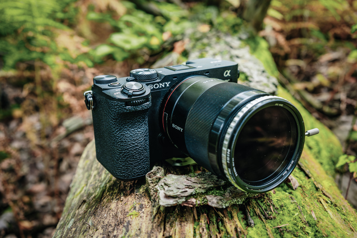 Closeup photo of a Sony camera on a log
