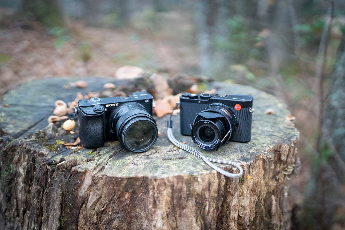 Two cameras on a log