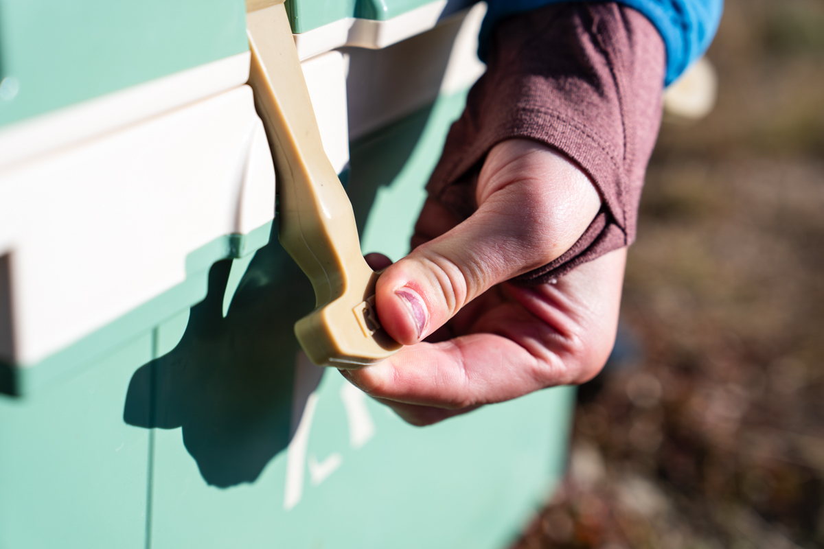 A hand latching a cooler lid