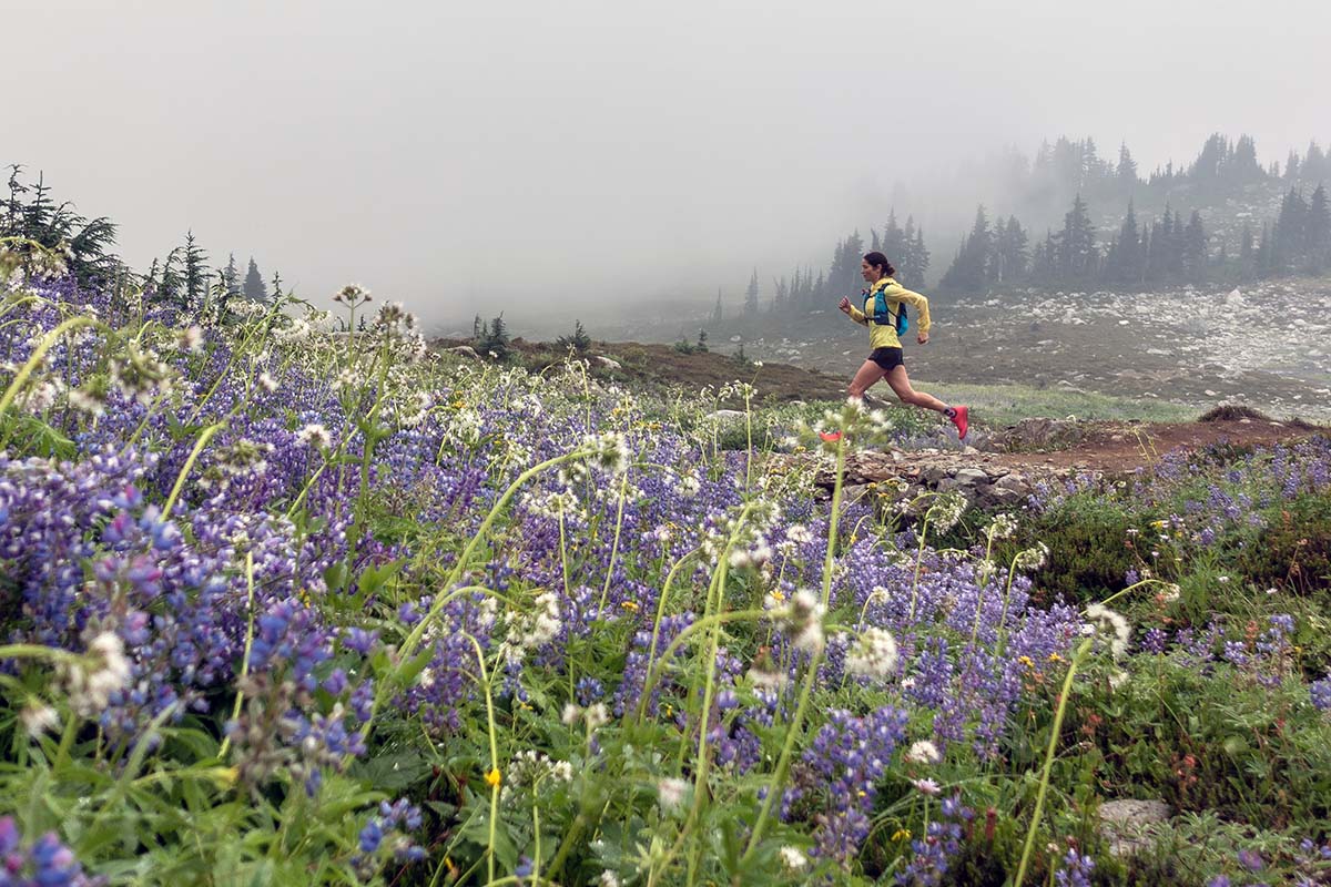 A tail runner speeds through a meadow of purple flowers.
