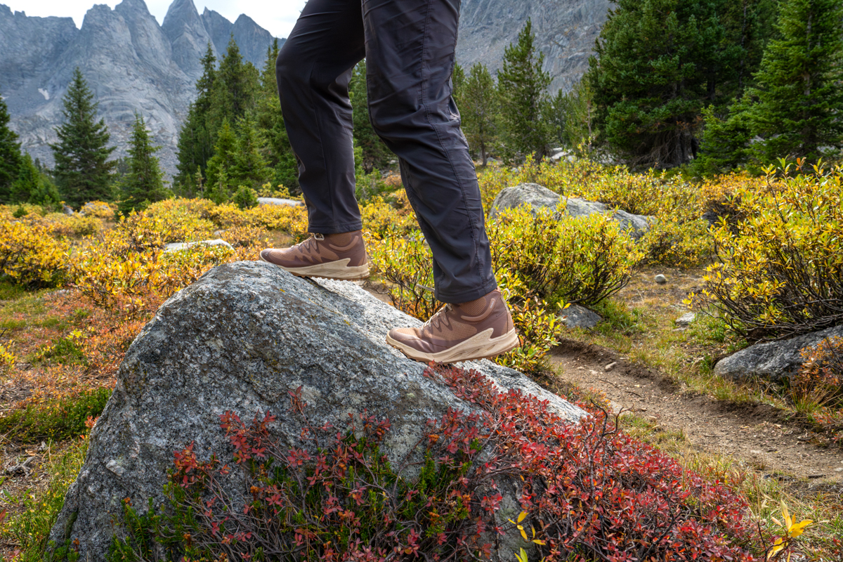 A hiker summits a tiny rock, alone in a field of beautiful yellow and red blooms.